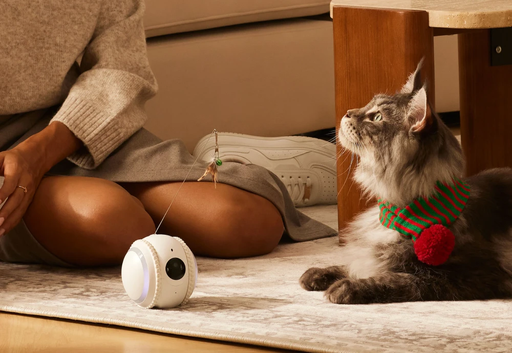 pet camera that moves