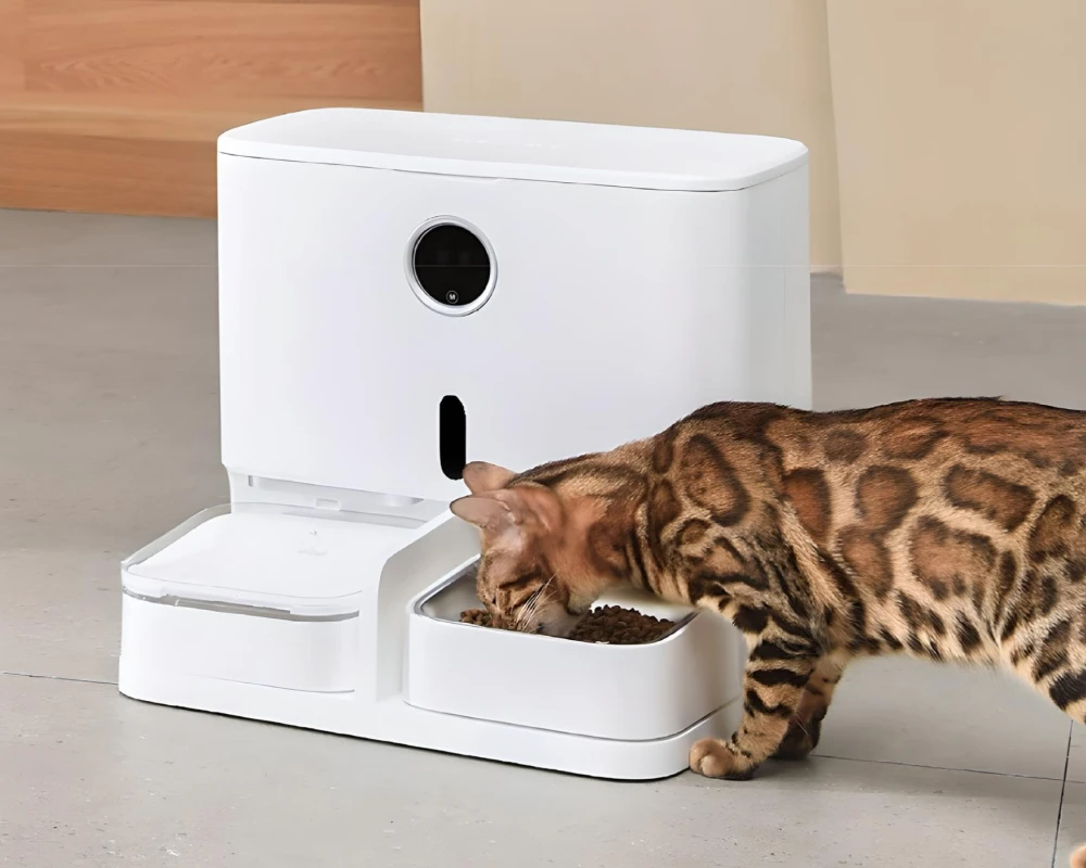 pet food and water dispenser