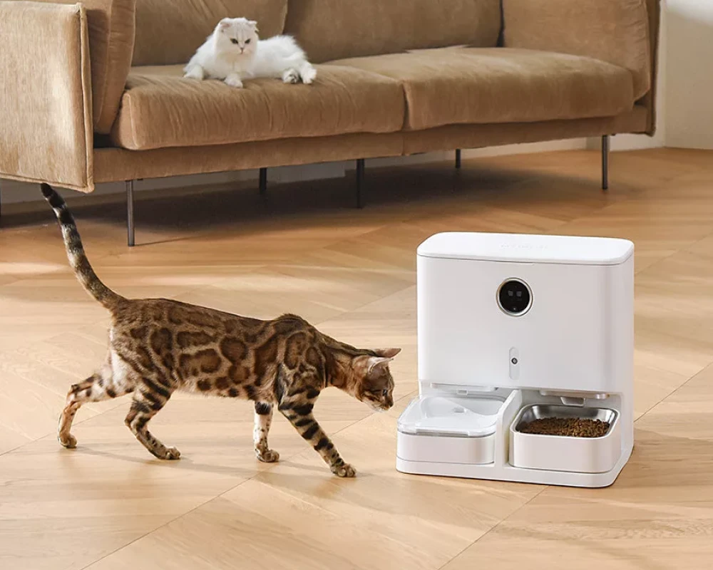 pet food dispenser automatic